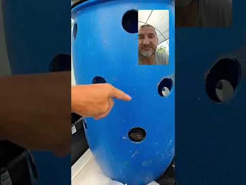 Miniature de la vidéo : Suivi de culture hydroponique du 24 juillet 2024