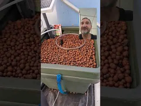 Miniature de la vidéo : 5 novembre 2024